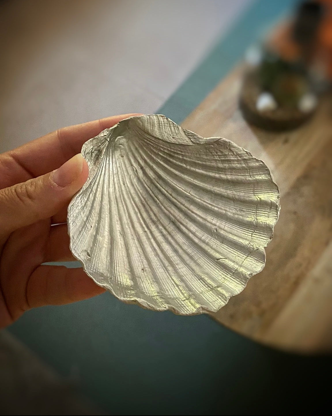 Concha Bautismal - Plata
