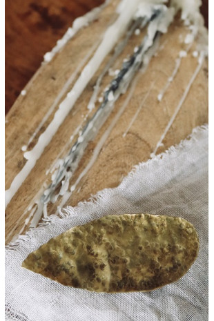 Broche de hoja en latón. Hecho artesanalmente por Sandra Bellew.