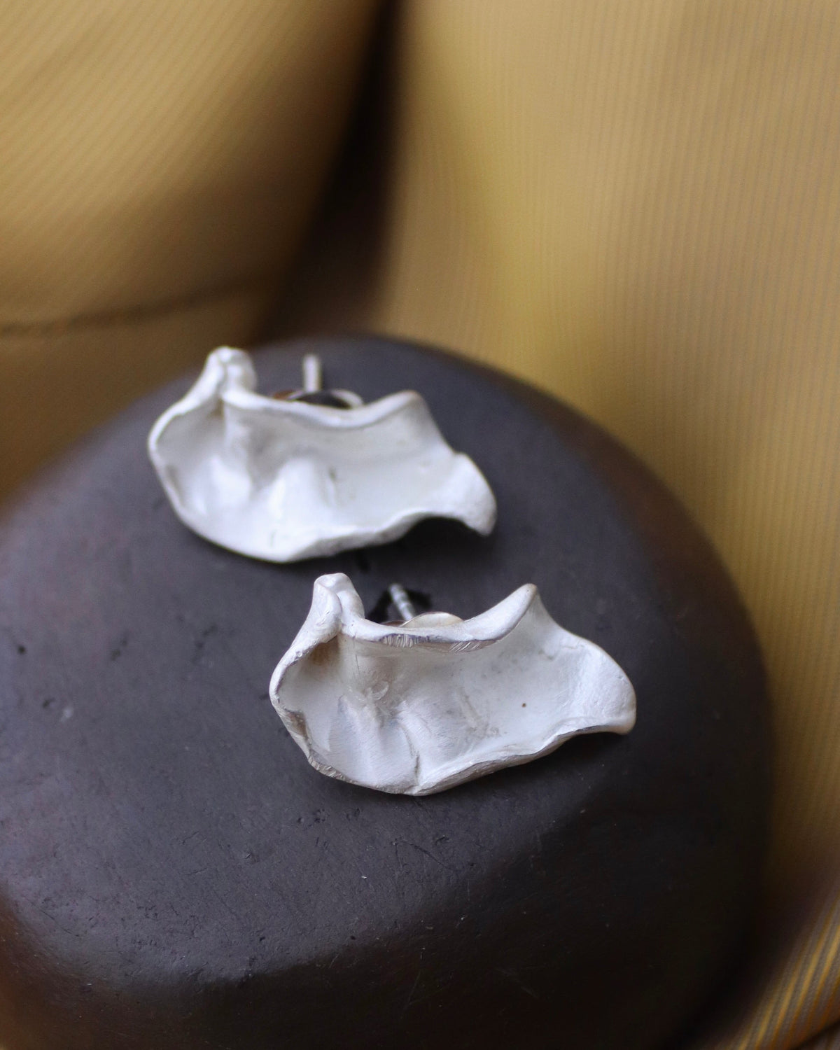 Pendientes Claudia - Plata