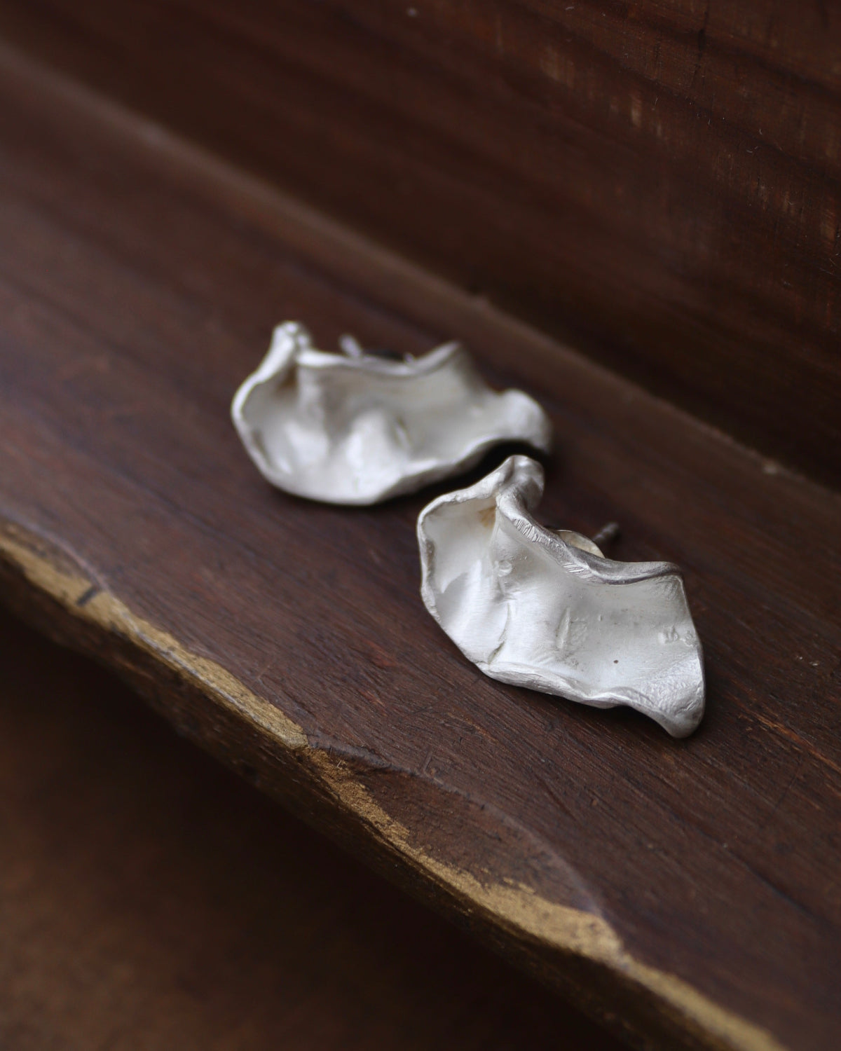 Pendientes Claudia - Plata