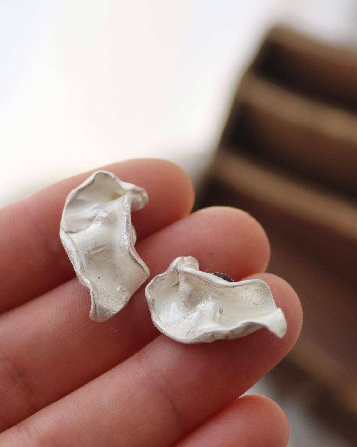 Pendientes Claudia - Plata