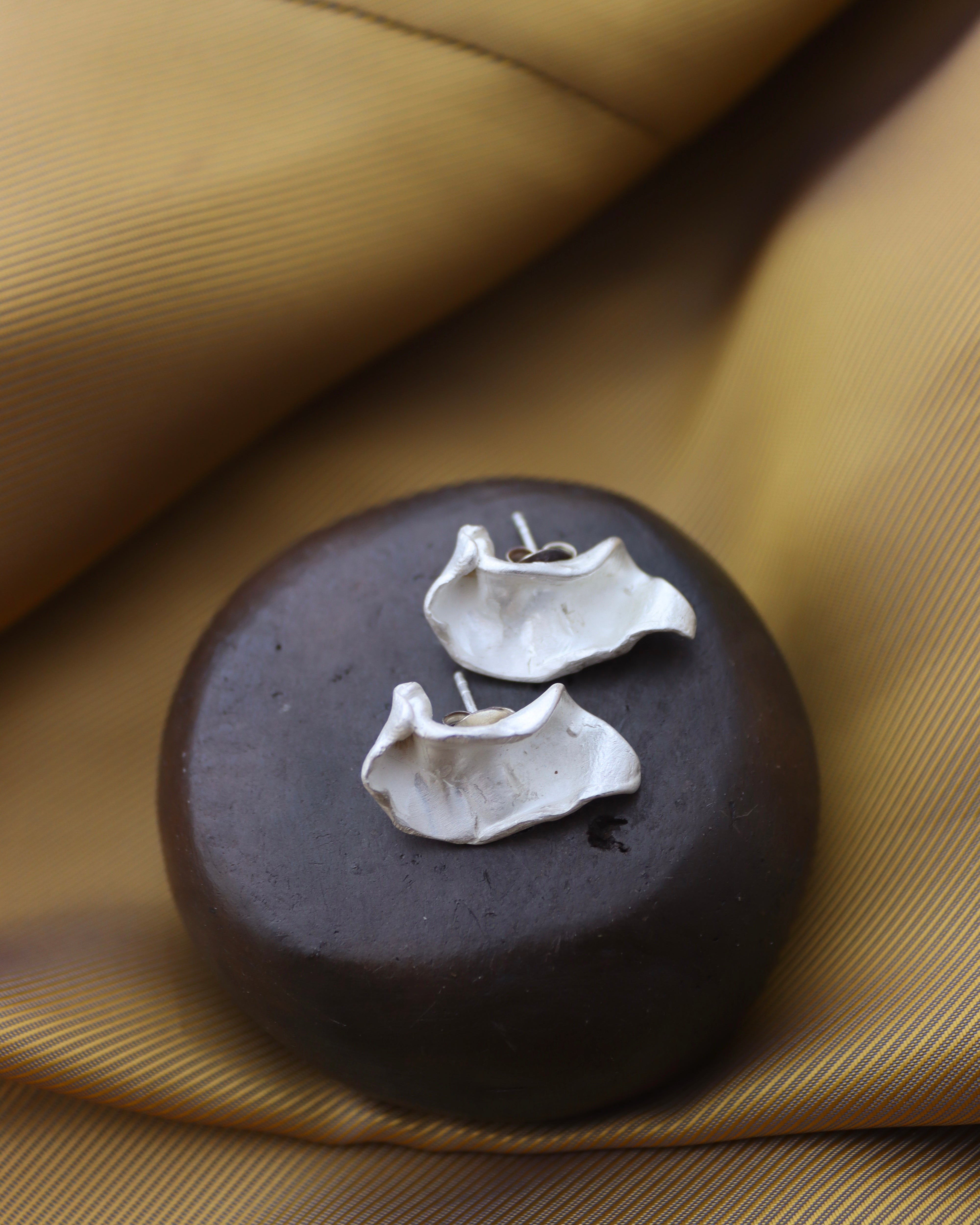 Pendientes Claudia - Plata